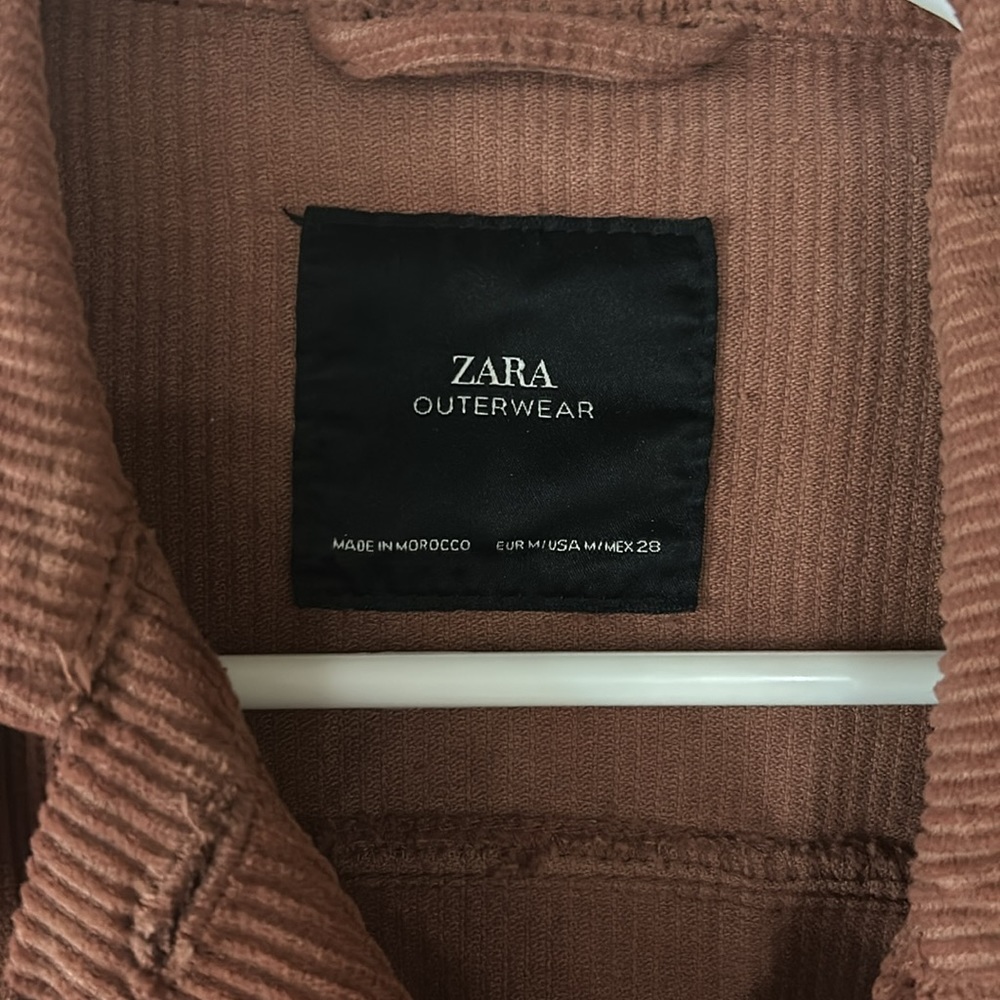 Zara Shackleton - Picture 2 of 3